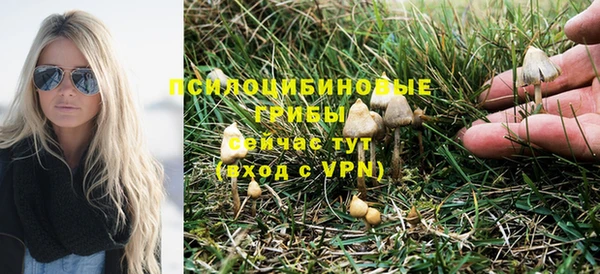 трава Нягань